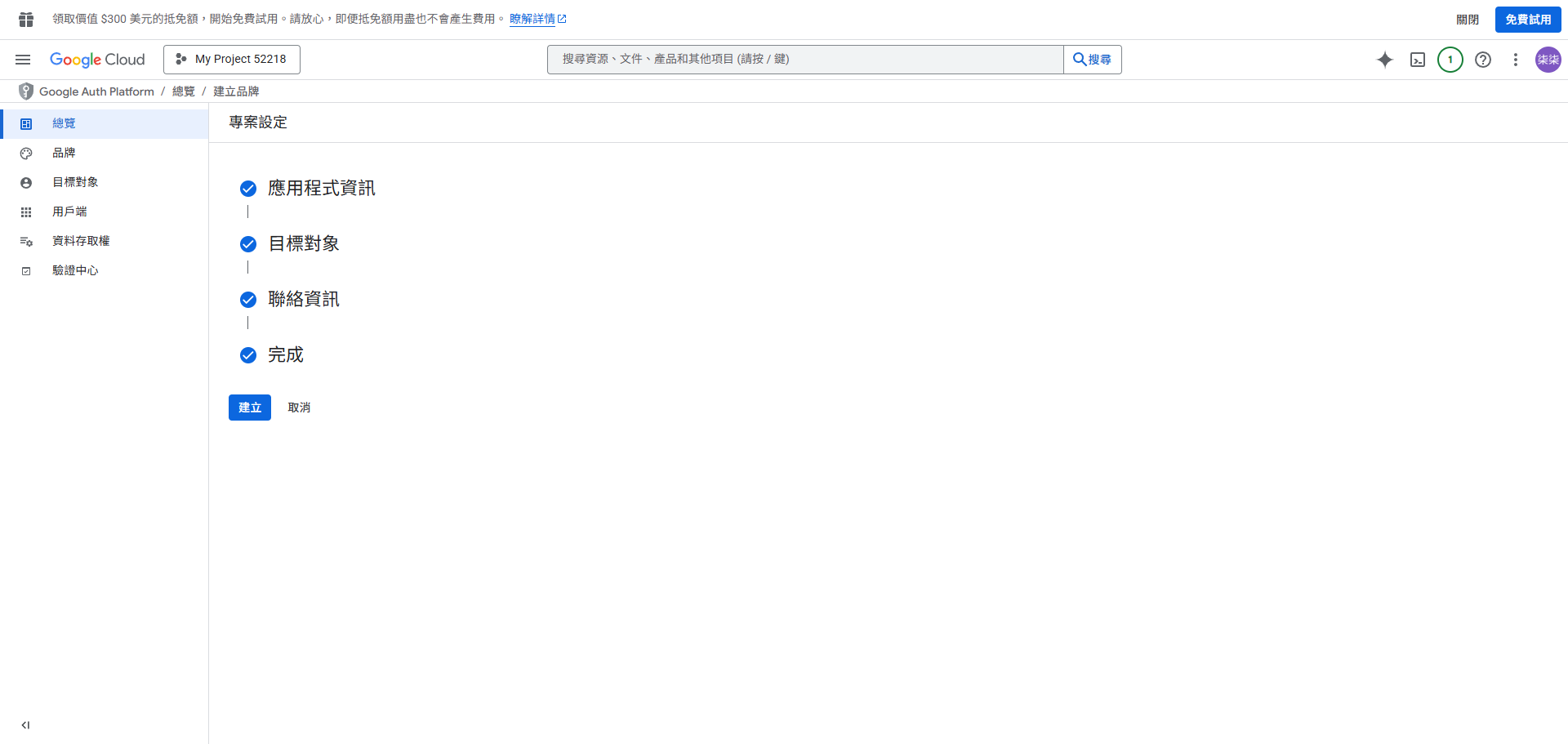 確認 OAuth 同意畫面設定