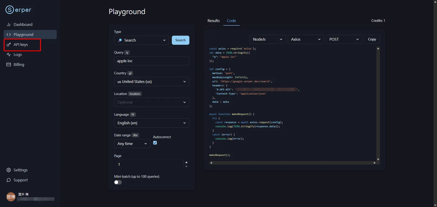 進入 Serper 儀表板後，點擊左側選單中的 'API Keys'。