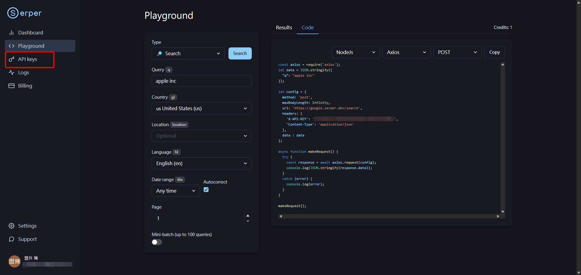 進入 Serper 儀表板後,點擊左側選單中的 'API Keys'。